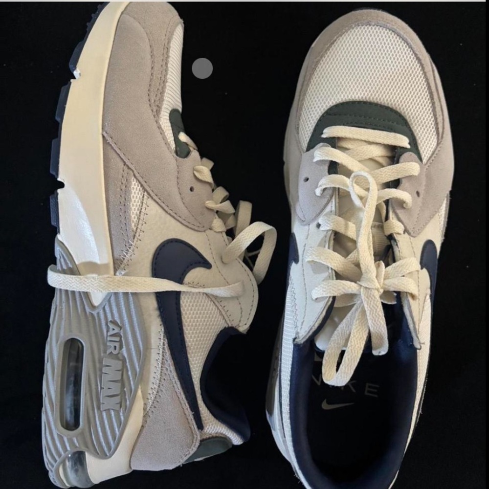 Nike Air Max Sneakers in Beige and Dark Blue